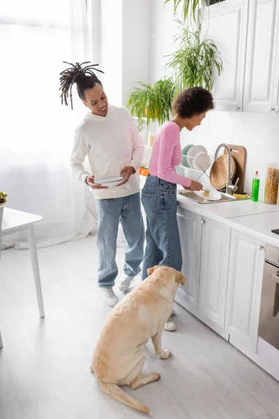 Sorridente coppia afro-americana lavare i piatti vicino labrador in cucina — Foto stock