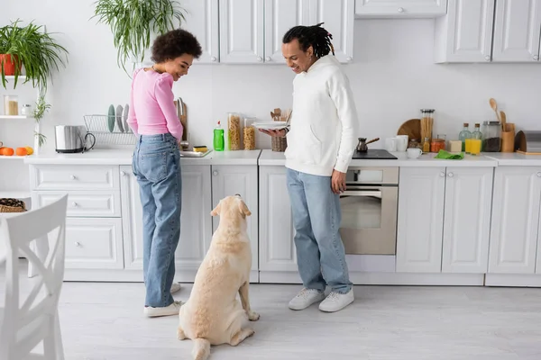 Un couple afro-américain positif lave des assiettes et regarde le labrador à la maison — Photo de stock