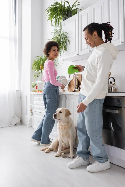 Femme afro-américaine positive laver les assiettes près de petit ami flou et labrador dans la cuisine — Photo de stock