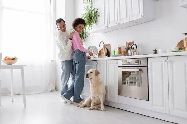 Un couple afro-américain positif lave des assiettes et regarde le chien labrador dans la cuisine — Photo de stock