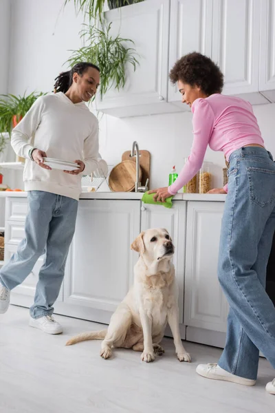 Sorridente coppia africana americana pulizia cucina vicino labrador a casa — Foto stock