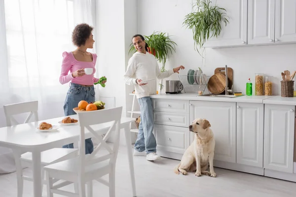 Joyeux couple afro-américain nettoyage cuisine et parler près de labrador à la maison — Photo de stock