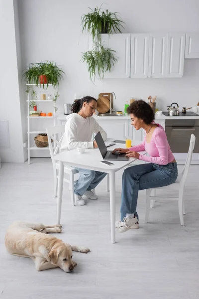 Smiling african american woman using laptop near boyfriend and labrador in kitchen — Stock Photo