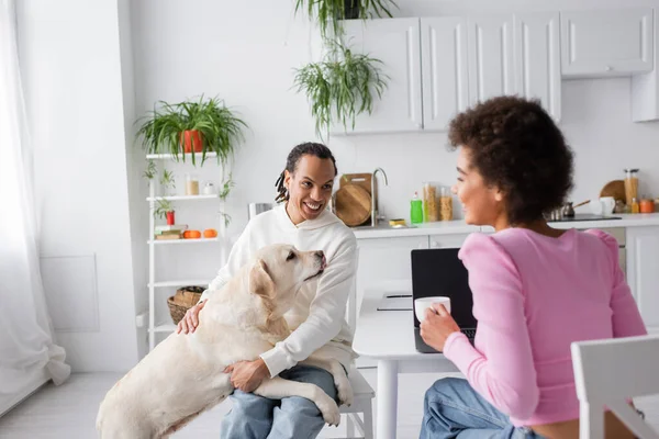 Positivo casal afro-americano com labrador falando na cozinha de manhã — Fotografia de Stock