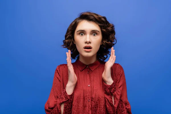 Shocked language teacher with short curly hair looking at camera isolated on blue — Stock Photo
