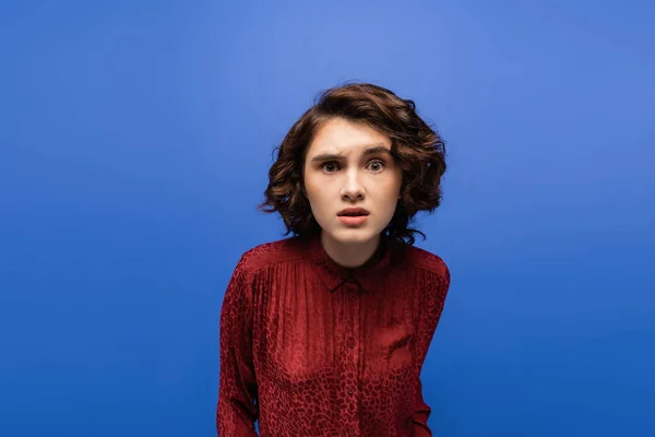 Mujer joven tensa en blusa de color marrón mirando a la cámara aislada en azul - foto de stock