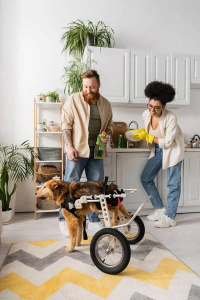 Positive multiethnic couple looking at disabled dog while cleaning kitchen — Stock Photo