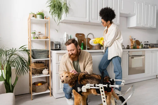 Бородатый мужчина ласкает собаку-инвалида, в то время как африканская американская подруга моет тарелку на кухне — стоковое фото