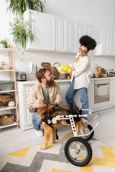Улыбающаяся американка из Африки моет тарелку рядом с парнем с собакой-инвалидом дома — стоковое фото