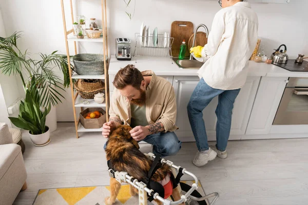 Hombre tatuado acariciando perro discapacitado cerca de la mujer afroamericana limpieza de casa en casa - foto de stock