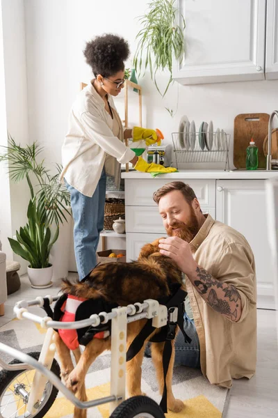 Позитивный мужчина гладит собаку-инвалида рядом с африканской женщиной-уборщицей кухни — стоковое фото