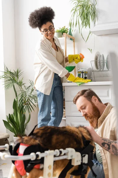 Sorridente donna africana americana pulizia cucina vicino fidanzato e cane disabile in cucina — Foto stock