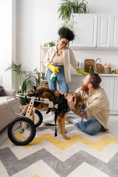 Sonriente mujer afroamericana sosteniendo detergente cerca de novio barbudo y perro discapacitado en casa - foto de stock
