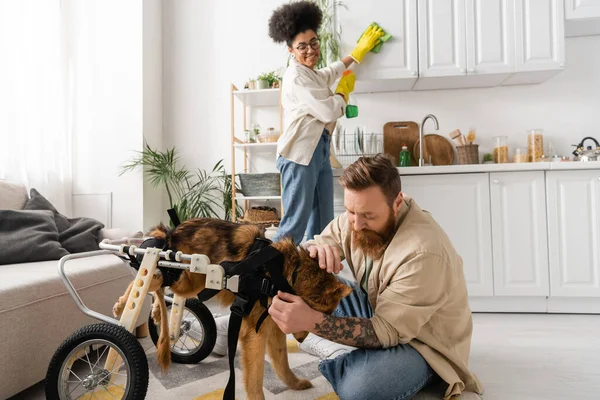 Homem tatuado acariciando cão deficiente em cadeira de rodas perto de namorada americana africana borrada limpeza cozinha em casa — Fotografia de Stock