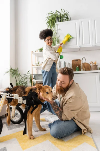 Bearded man petting disabled dog on wheelchair near african american girlfriend at home — Stock Photo