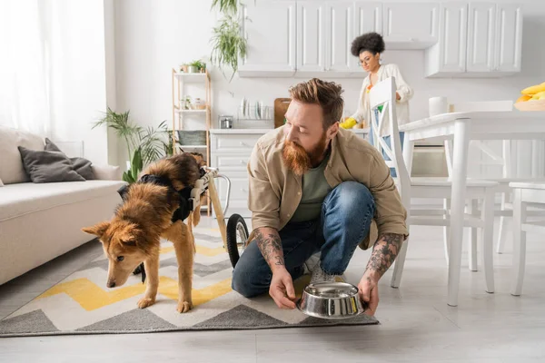 Bärtiger Mann legt Schüssel neben behinderten Hund und verschwommener afroamerikanischer Freundin zu Hause auf den Boden — Stockfoto