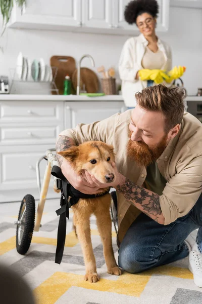 Улыбающийся татуированный мужчина обнимает собаку-инвалида рядом с размытой африканской девушкой-американкой на кухне — стоковое фото