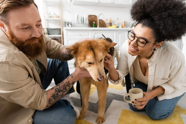 Smiling multiethnic couple with coffee petting disabled dog on wheelchair at home — Stock Photo