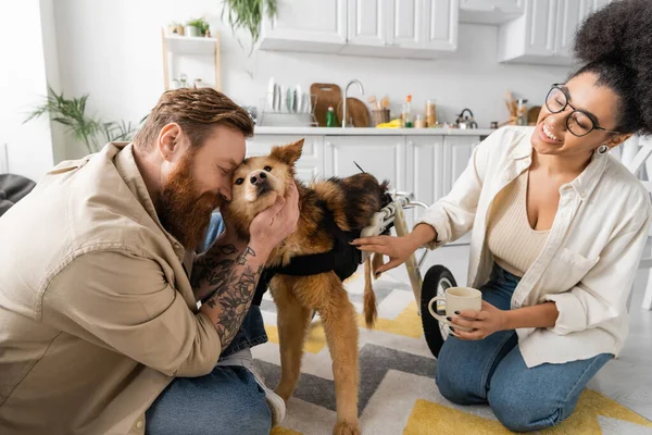 Sorrindo afro-americana segurando café enquanto namorado acariciando cão deficiente em casa — Fotografia de Stock