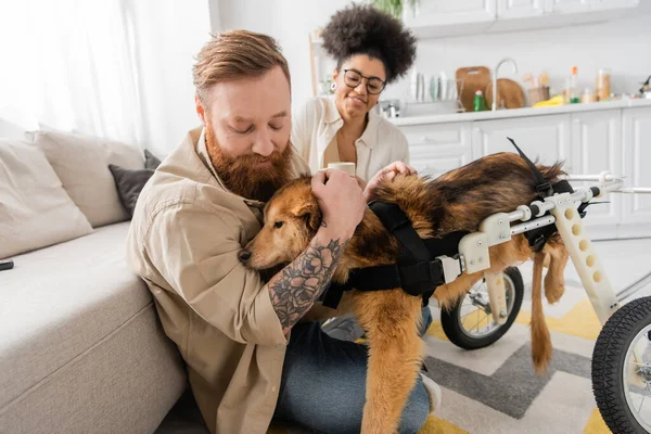 Hombre tatuado acariciando perro discapacitado cerca de novia afroamericana en casa - foto de stock