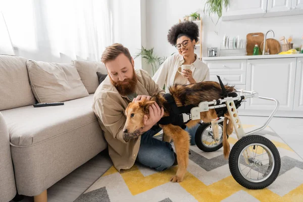 Man petting handicapped dog near african american girlfriend with coffee in kitchen — Stock Photo