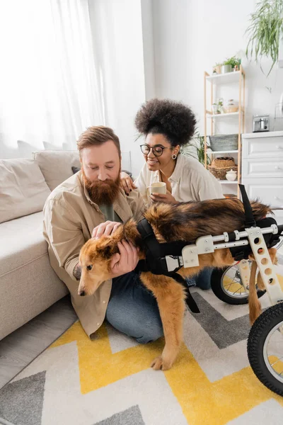 Homme caressant chien handicapé près souriant petite amie afro-américaine avec tasse de café à la maison — Photo de stock