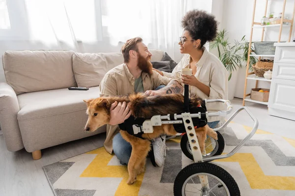 Seitenansicht eines lächelnden multiethnischen Paares, das in der Nähe eines behinderten Hundes zu Hause spricht — Stockfoto