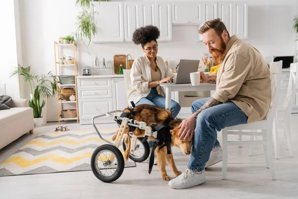 Bearded man with cup petting disabled dog near african american girlfriend using laptop in kitchen — Stock Photo