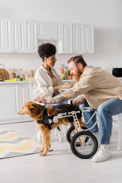 Tätowierter Mann streichelt behinderten Hund, während afrikanische amerikanische Freundin zu Hause Laptop benutzt — Stockfoto