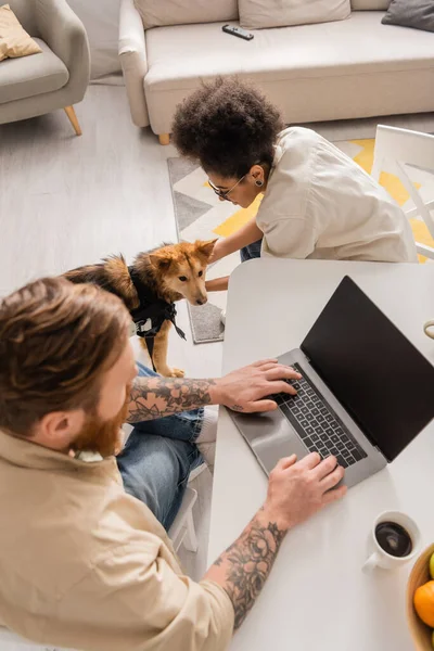 Overhead view of african american woman petting disabled dog near boyfriend with laptop at home — Stock Photo