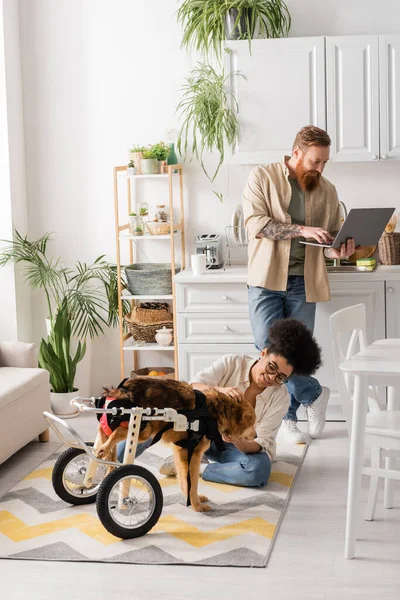 Smiling african american woman sitting near disabled dog and boyfriend using laptop in kitchen — Stock Photo