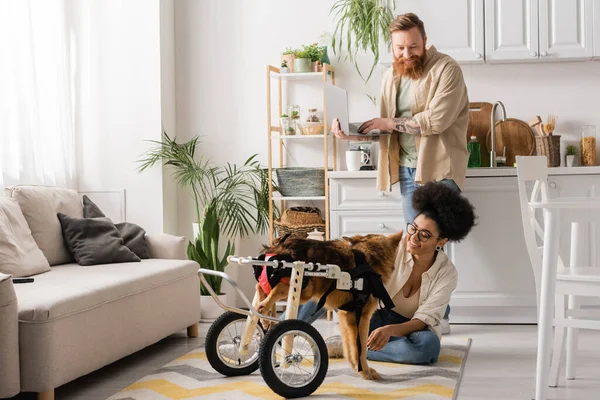 Homem barbudo usando laptop perto de namorada americana africana com cão com deficiência em casa — Fotografia de Stock
