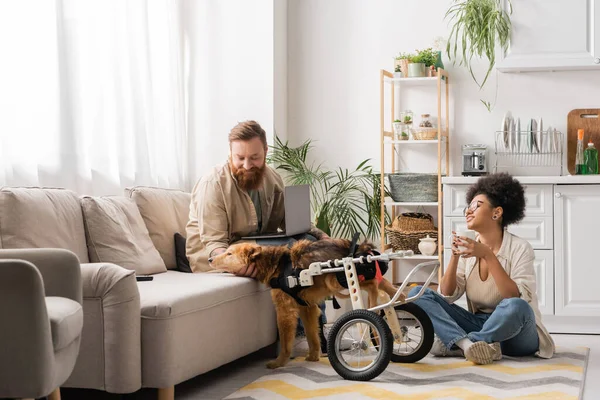 Sonriente pareja multiétnica con portátil y café hablando cerca perro discapacitado en casa - foto de stock