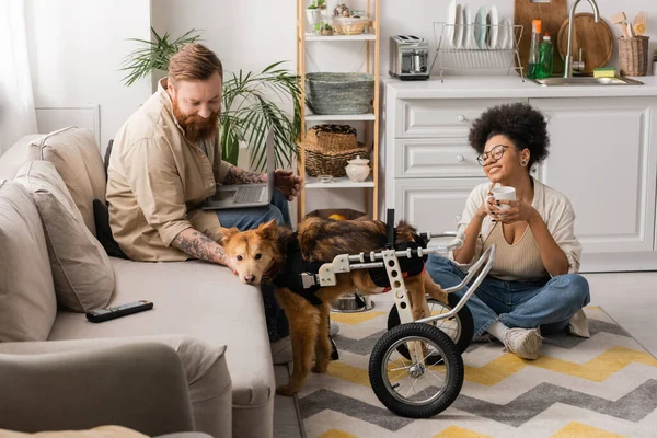 Sonriente mujer afroamericana sosteniendo taza cerca de perro discapacitado y novio con portátil en casa - foto de stock