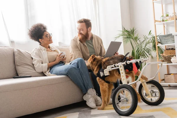 Positiva pareja multiétnica con café y portátil hablando cerca perro discapacitado en casa - foto de stock