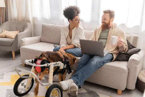Lächelnde Afroamerikanerin schaut Freund mit Kaffee und Laptop neben behindertem Hund im Rollstuhl zu Hause an — Stockfoto