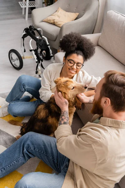 Sorridente donna africana americana seduta vicino al cane disabile e fidanzato tatuato in soggiorno — Foto stock