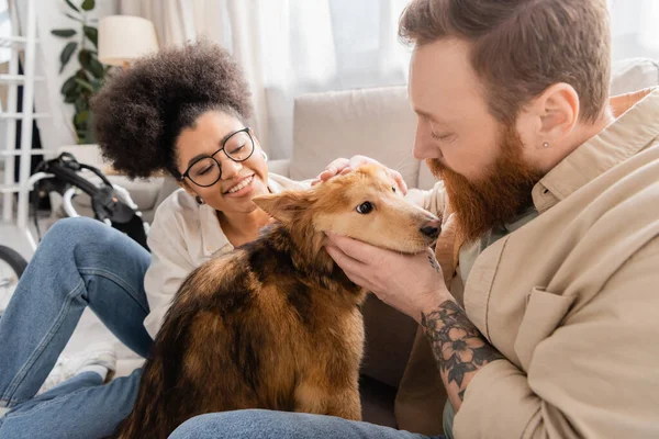 Бородатый мужчина ухаживает за собакой-инвалидом рядом с веселой африканской американской подружкой в гостиной — стоковое фото