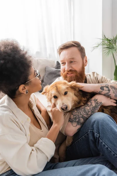 Smiling tattooed man petting dog near african american girlfriend at home — Stock Photo