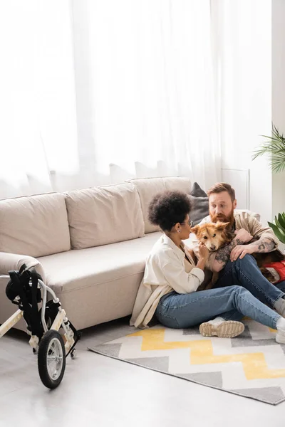 Pareja multiétnica con perro discapacitado conversando en la sala de estar - foto de stock