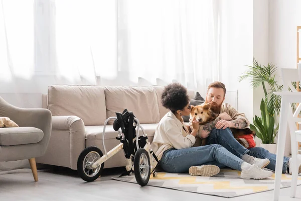 Casal multiétnico olhando para cão com deficiência perto de cadeira de rodas na sala de estar — Fotografia de Stock
