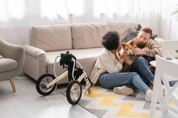 Coppia multietnica accarezzando cane disabile vicino sedia a rotelle in soggiorno — Foto stock