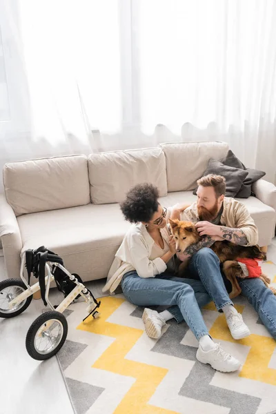 Interracial couple holding disabled dog near wheelchair at home — Stock Photo