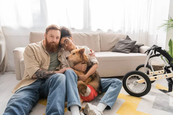 Homme barbu étreignant petite amie afro-américaine avec chien handicapé et regardant la caméra à la maison — Photo de stock
