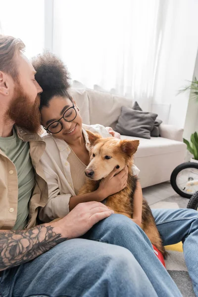 Hombre tatuado besando a novia afro-americana positiva con perro discapacitado en casa - foto de stock