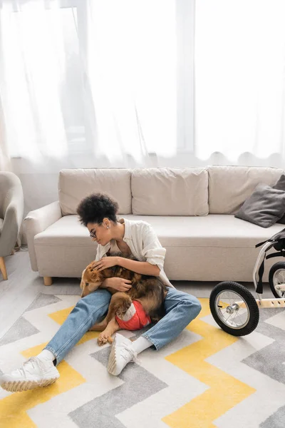 Side view of african american woman petting disabled dog on floor at home — Stock Photo