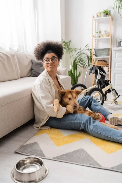 Joven afroamericana mujer sosteniendo perro discapacitado cerca de silla de ruedas y tazón en sala de estar - foto de stock