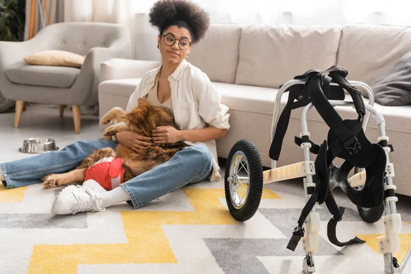 Fauteuil roulant près de femme afro-américaine floue tenant chien handicapé à la maison — Photo de stock