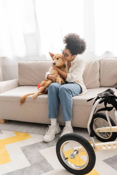 Positiva donna afroamericana che abbraccia un cane disabile sul divano vicino alla sedia a rotelle in soggiorno — Foto stock