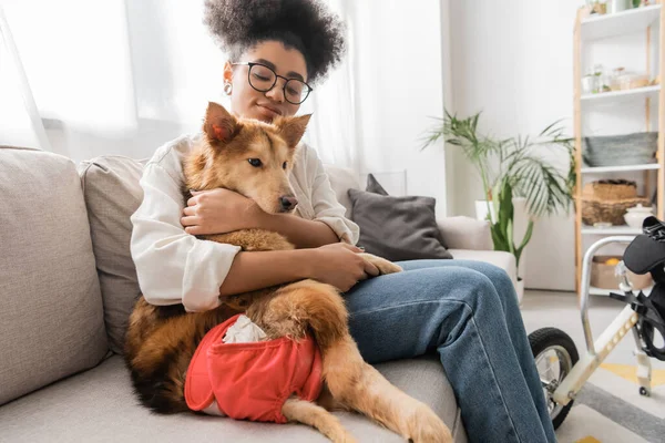 Jeune femme afro-américaine dans des lunettes étreignant chien handicapé sur le canapé à la maison — Photo de stock